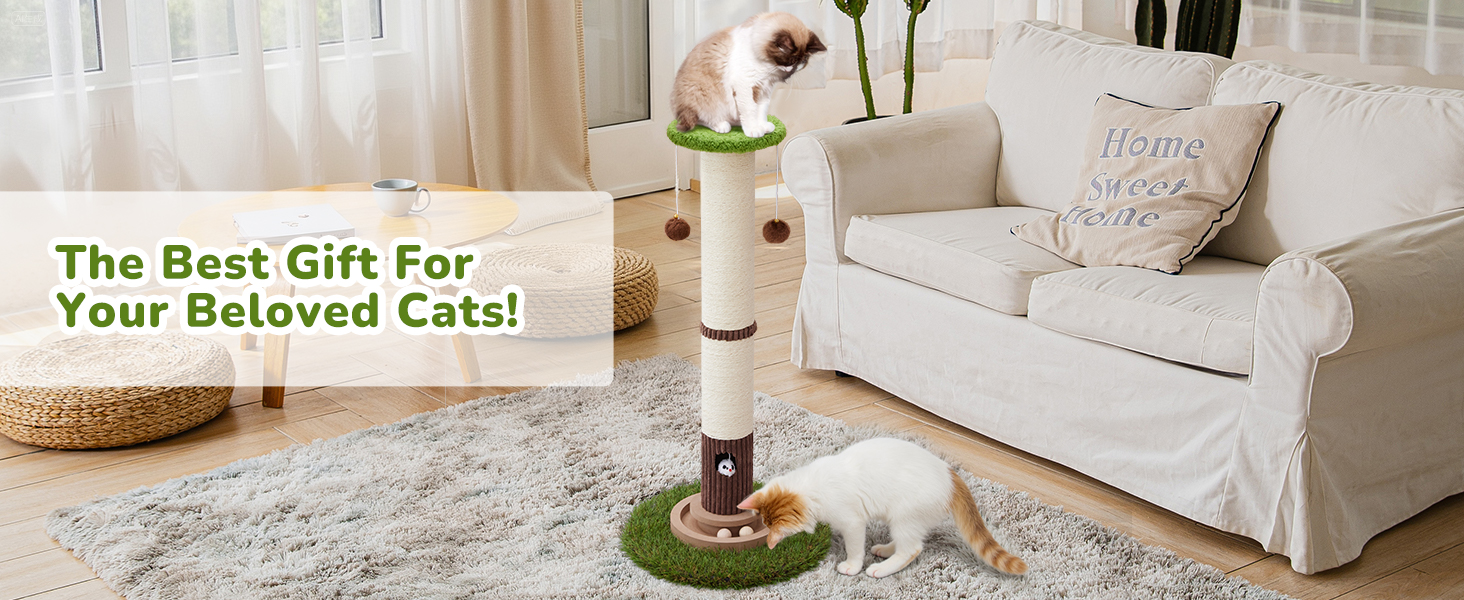 cat gifts