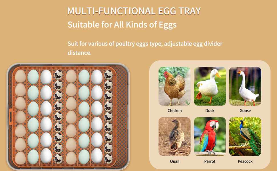 chicken egg incubator