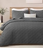 Exclusivo Cal King Size Modern Striped Quilt Set for Summer, 3 Pieces Lightweight White Bedding, Soft Quilts Coverlets A F5273c6d E0bc 41b6 9728 03cf543c5a23. CR88,0,1824,2000 PT0 SX166 V1