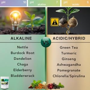 Alkaline vs acidic hybrid herbs turmeric ginseng Ashwagandha