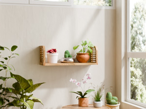rattan shelves