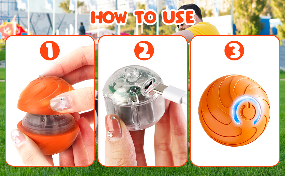 Interactive Dog Ball