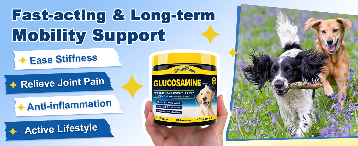 dog joint supplement