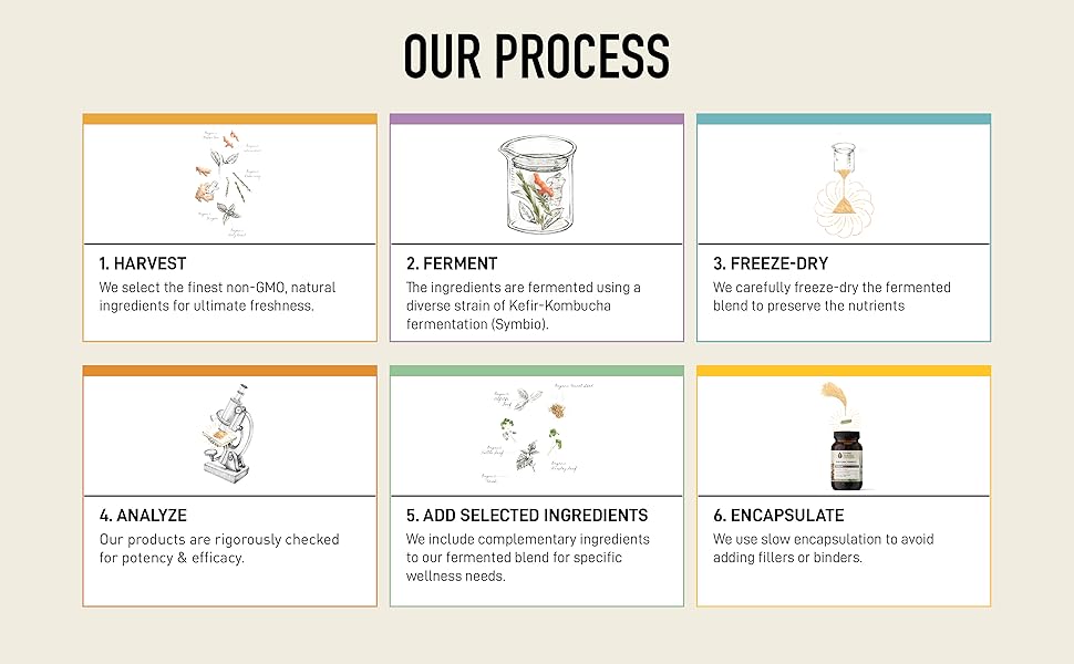 probiotic nutritional supplements daily probiotic probiotics for men digestive health