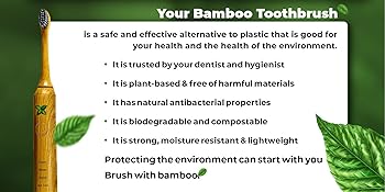 Bamboo electric toothbrush