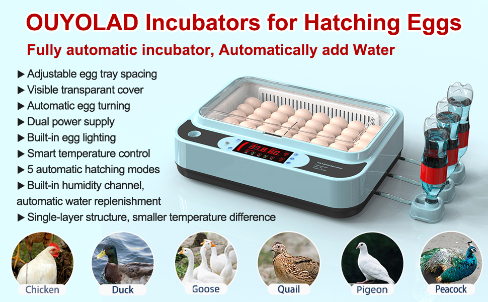 Egg Incubators for Hatching Eggs Automatic Turning Incubator Brooding