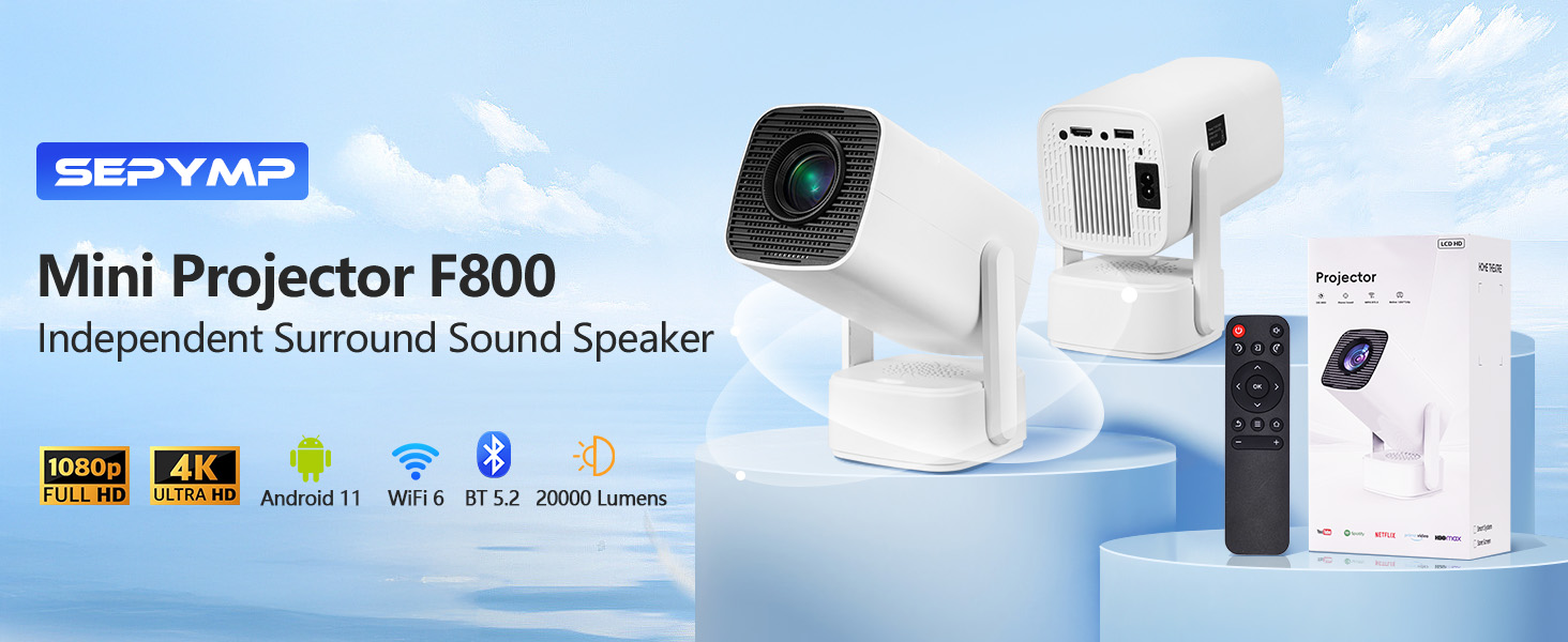 Mini Projector F800