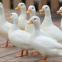 Small manufacture image 6