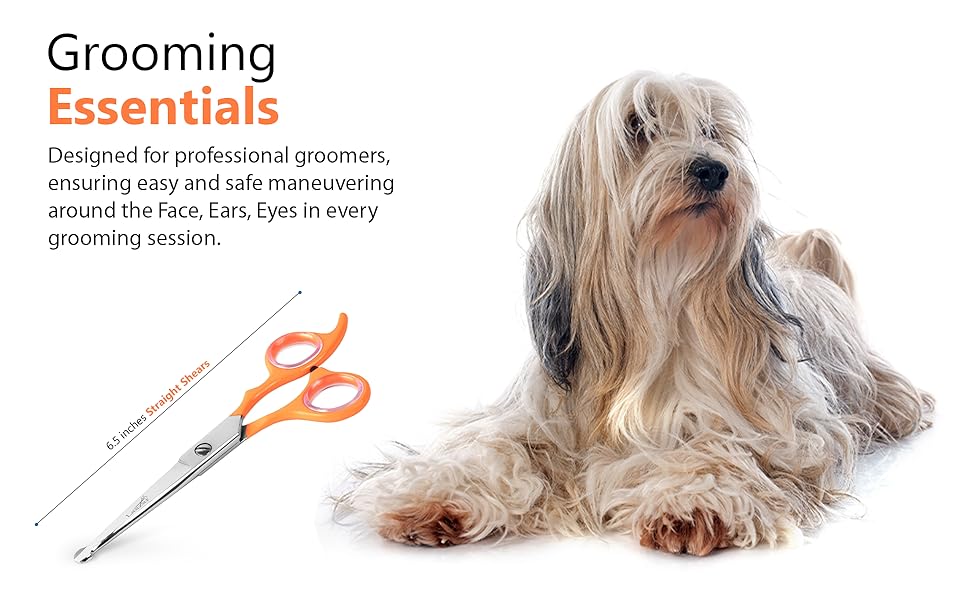 grooming scissors for dogs at home,  scissors for dogs, dog grooming scissors