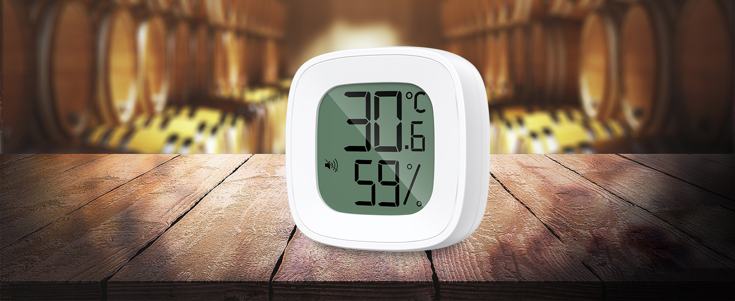 Thermometer