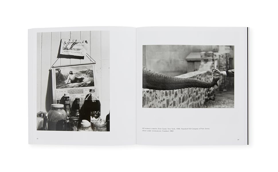 L'occhio del fotografo. The Museum of Modern Art, New York