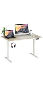 electric standing desk