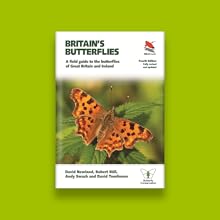 Small manufacture image 7