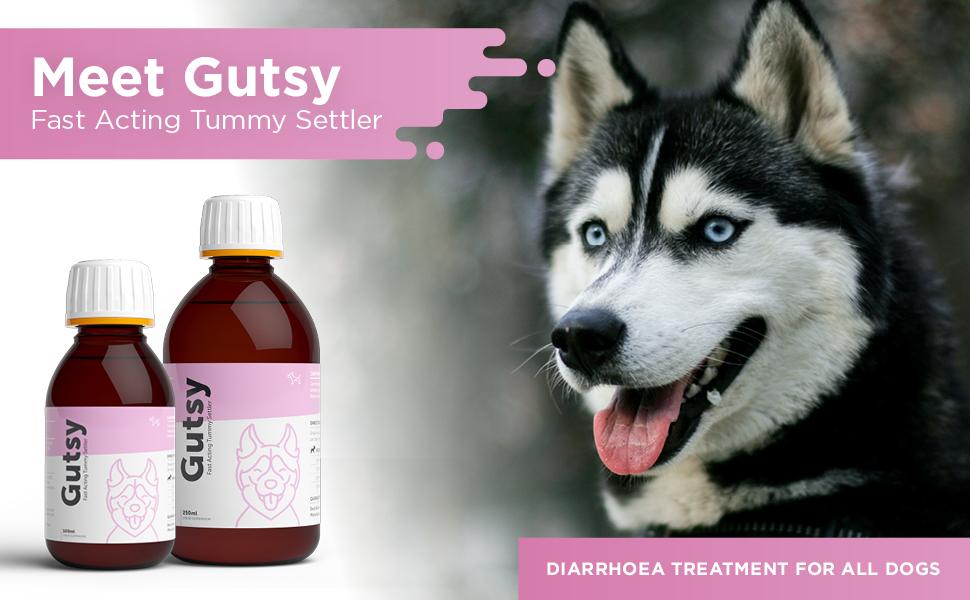 Dog's Lounge GUTSY Natural Fastacting Tummy Settler for Dogs with Montmorillonite and