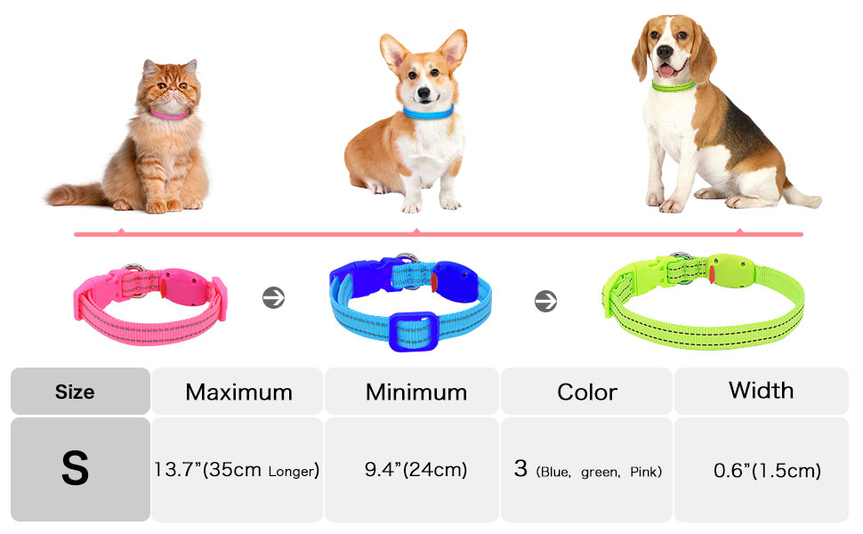 PZRLit Light Up Dog Collar Rechargeable for Small Dogs, Fully