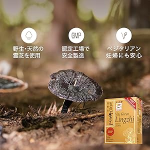 Small manufacture image 4