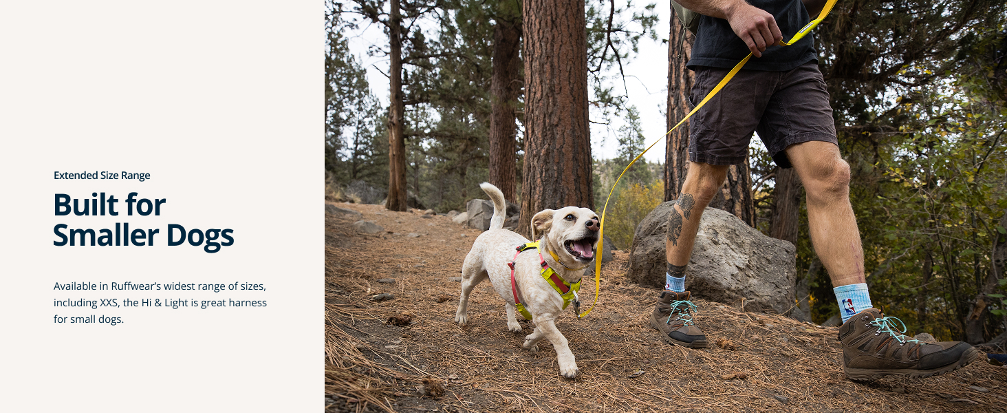 Dog harness small sized dog fit with reinforced webbing and lightweight construction.