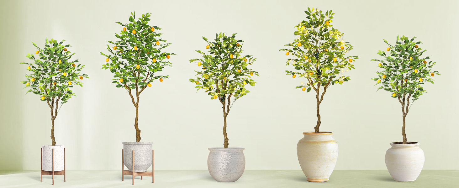 lemon tree