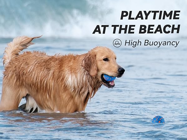 Playtime At The Beach