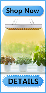 sugri ニューガーデン　ミツアミ Amazon.com : LED Grow Lights, 3500K Sunlike Full Spectrum