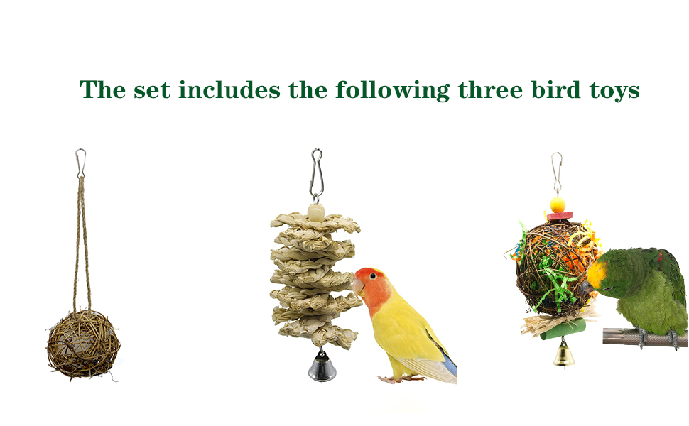 bird toys