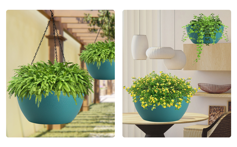 window plant hanger