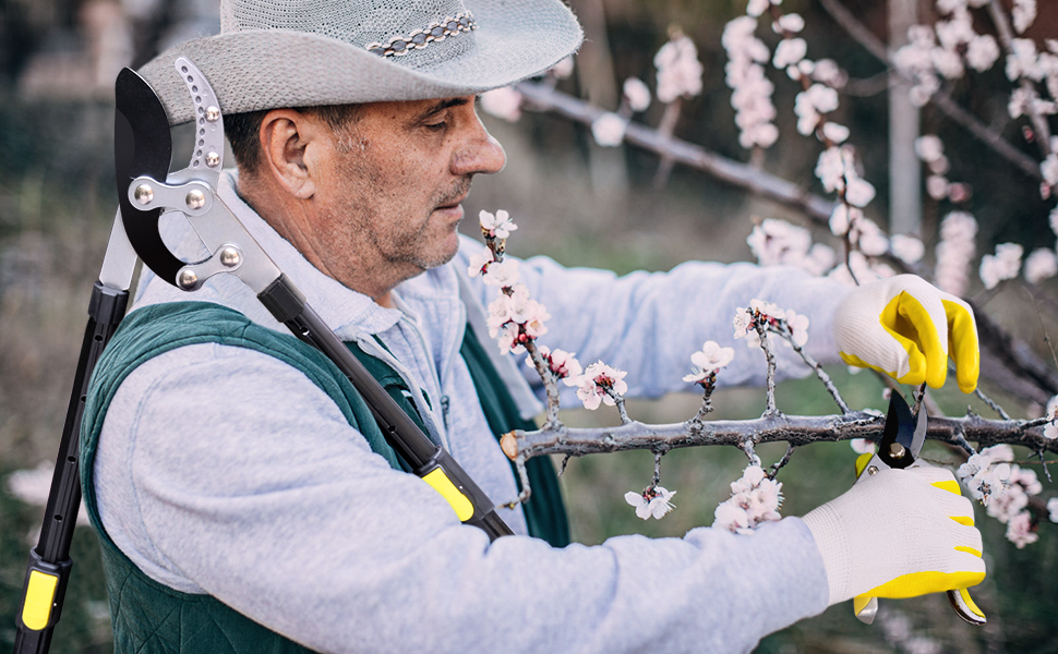 Large manufacture image 5