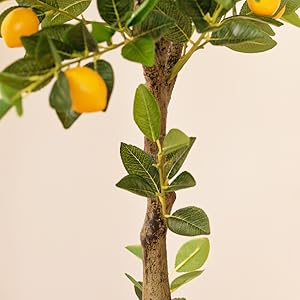 Lemon Branches