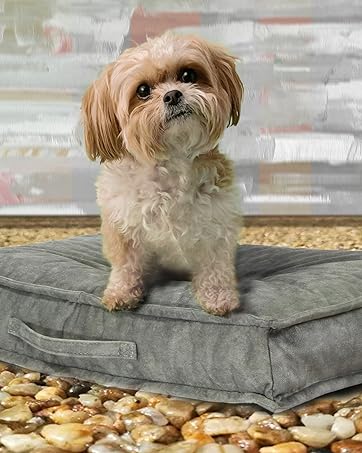 Hundebetten