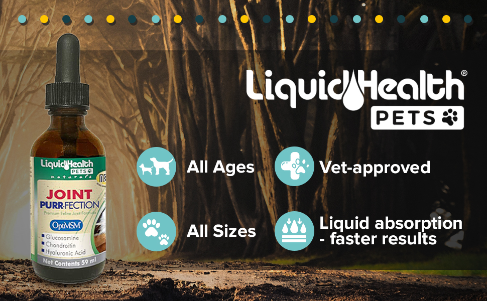 Liquid Health Pets Joint PurrFection Glucosamine For Cats