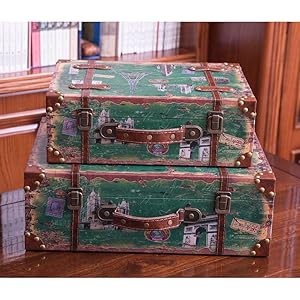 Amazon.com: Vintiquewise(TM) Vintage Style European Luggage