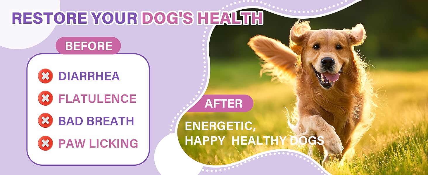 Probiotics for Dogs
