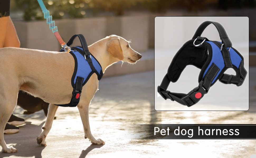 dog harness large