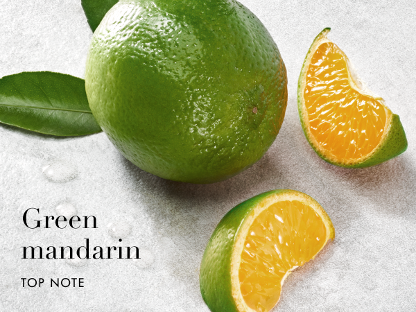 Armani beauty – Acqua di Giò – Eau de Parfum ingredients