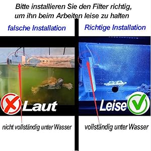 ein Bild von einem Aquarium mit einem grün-roten Etikett mit der Aufschrift „