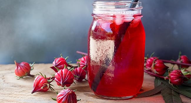 hibiscus froid