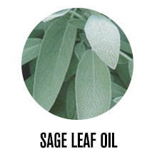 Sage Leaf Oil