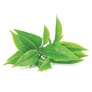 Green tea, a pure vitamin c font