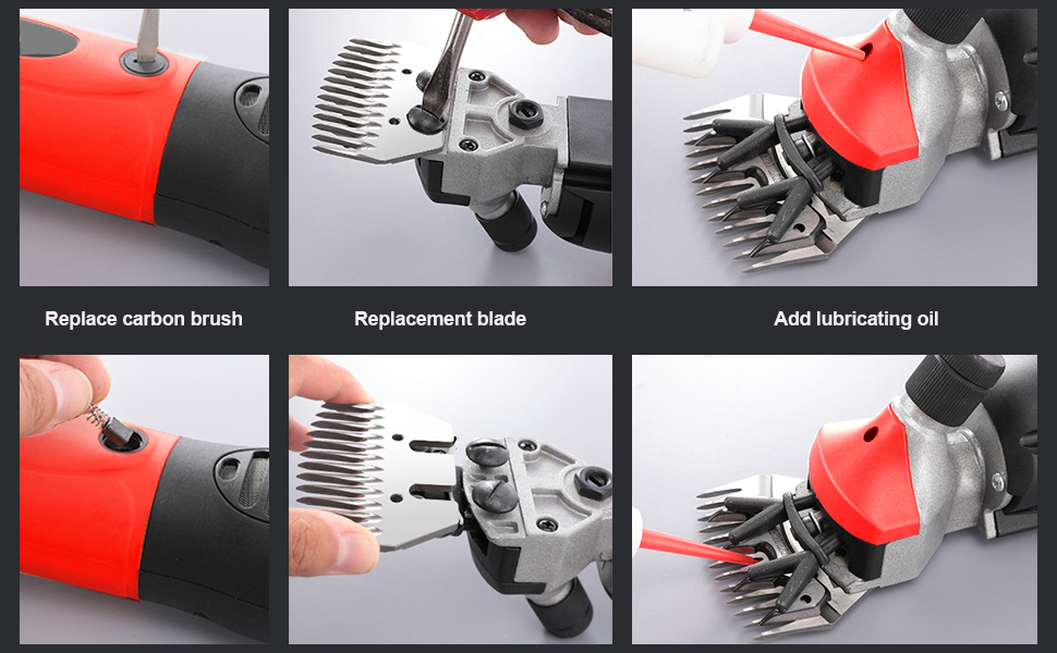 Sheep shearing operation