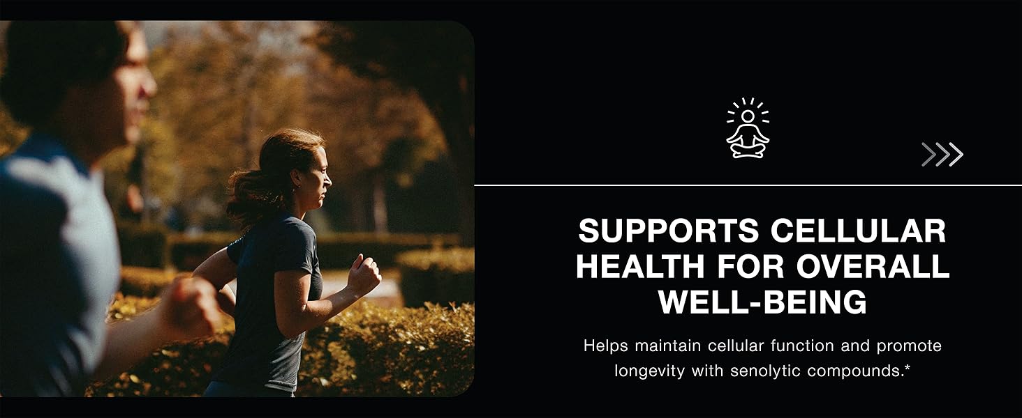  Senolytic Activator