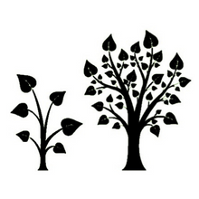 47 north foods single source real pure organic grade a amber very dark maple syrup sugar