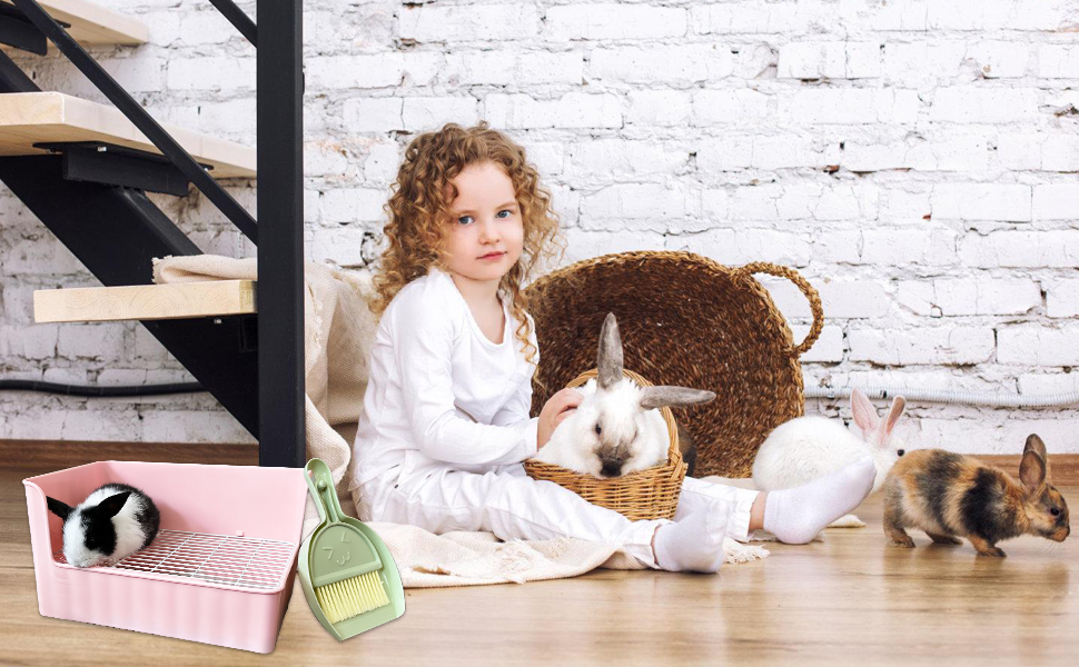 bunny litter box