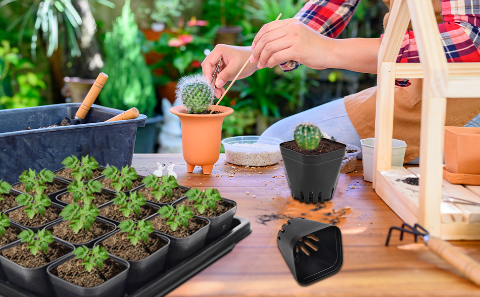 Growing Trays with pots