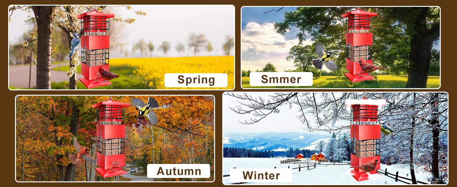 anti squirrel bird feeder