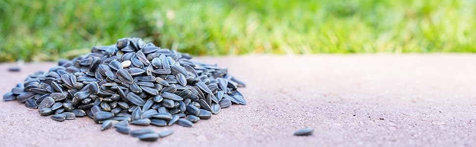 desert valley supply company's black oil sunflower seed in a pile on a backyard patio