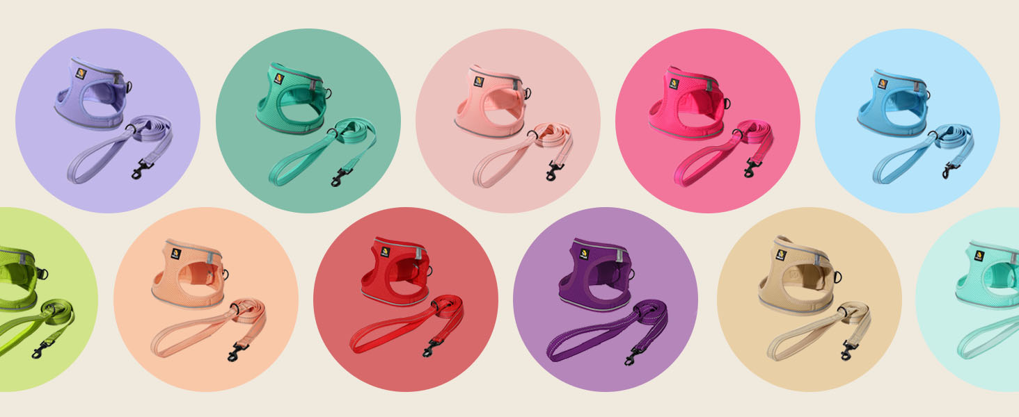 Colorful circular icons showing identical product sets in different color schemes including purple, green, pink, red, and blue tones.