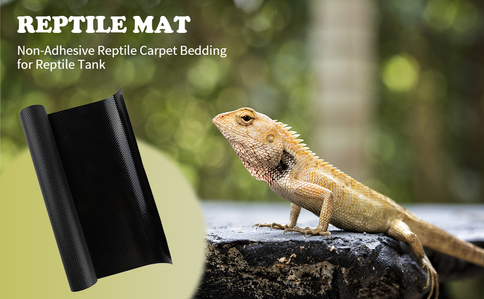 Bearded Dragon Tank Accessories Reptile Terrarium Liner