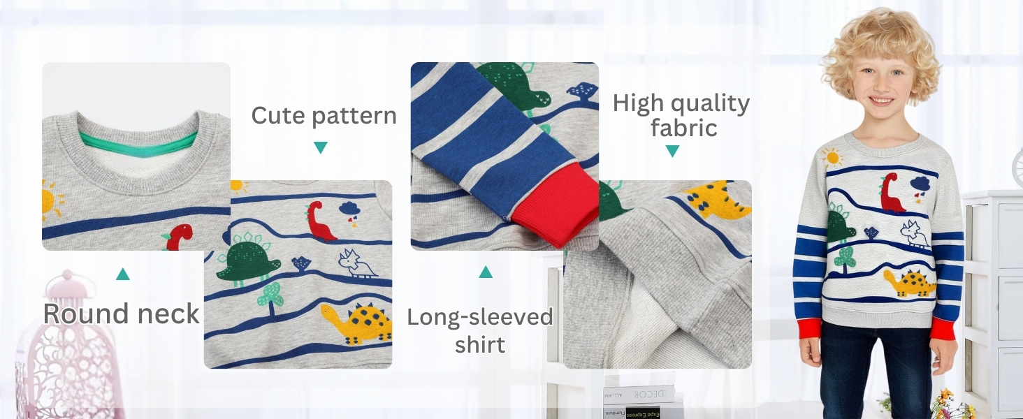 toddler boys sweatshirt