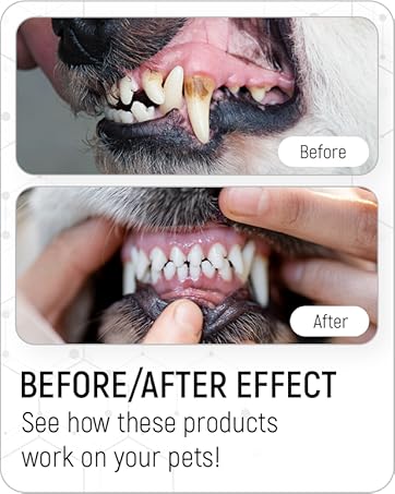 ear cleaner for cats, ear canal cleaner, dog teeth cleaning, colloidal silver for dogs