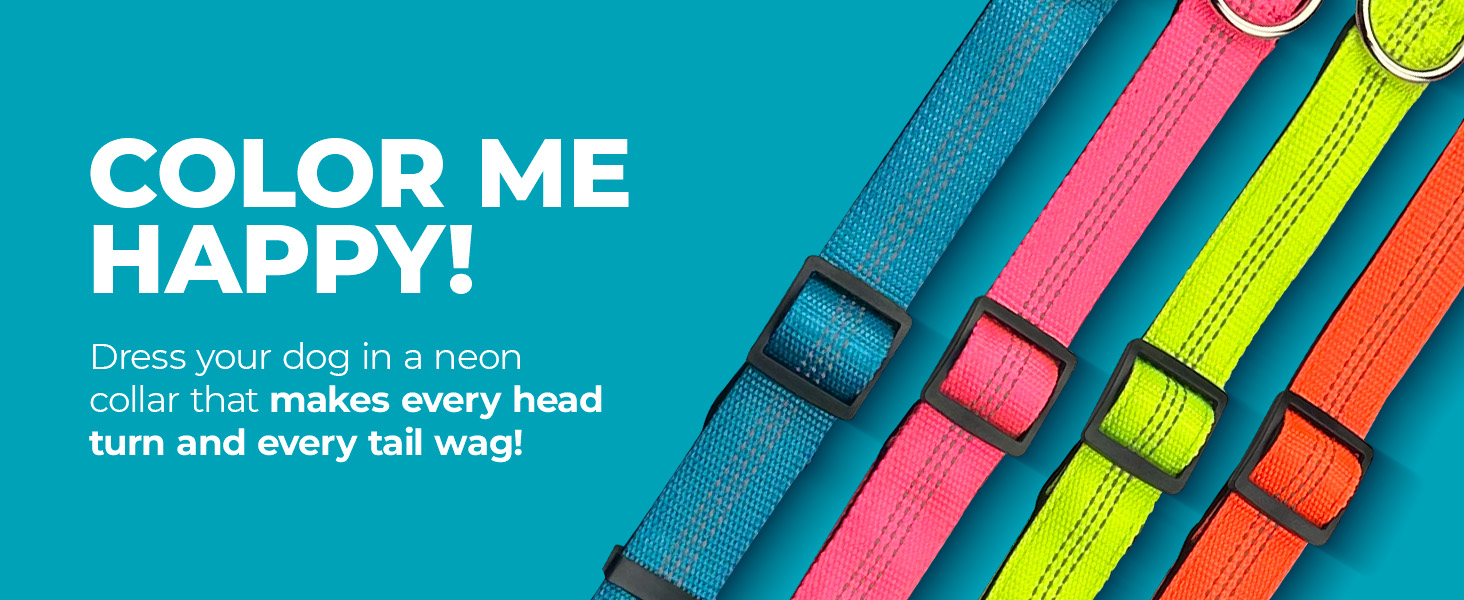 Reflective Dog Collar